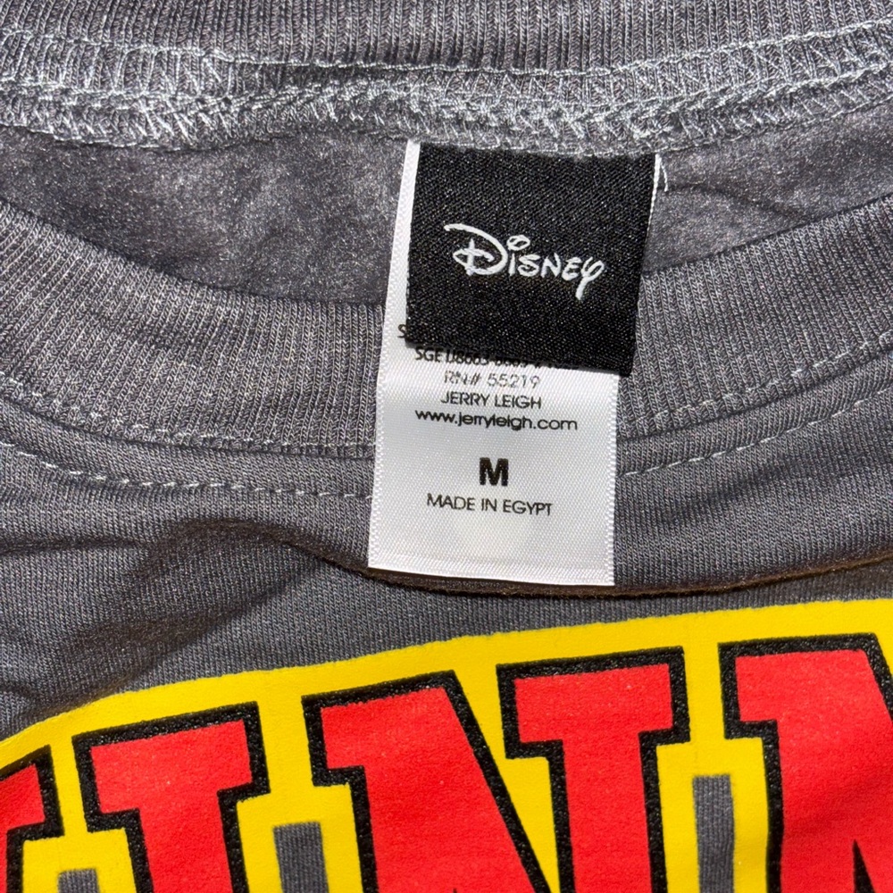 Winnie the Pooh, …Disney Gray Sweatshirt with Red and Yellow Accents NWOT - Picture 5 of 5